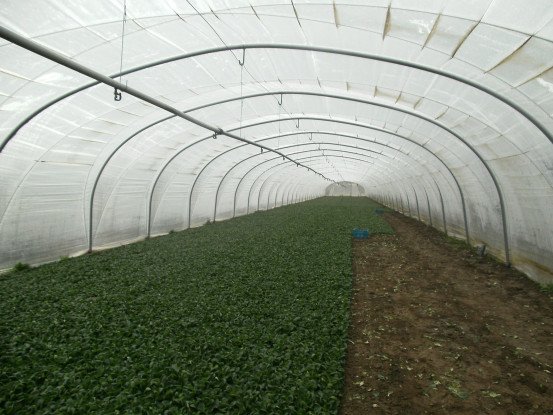 Tunnelserres Diksmuide, West-Vlaanderen